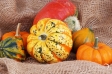 PUMPKINS